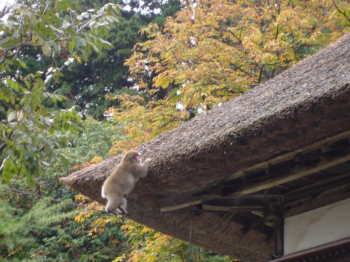 Nishiya Hotel Yonezawa Esterno foto